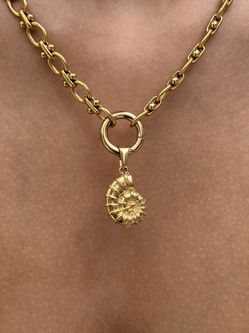 Ammonite Charm