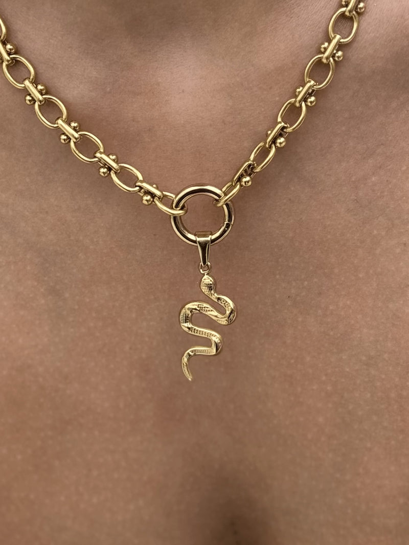 Snake Charm