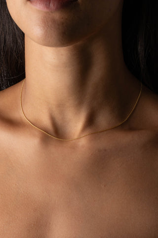Petite Curb Necklace