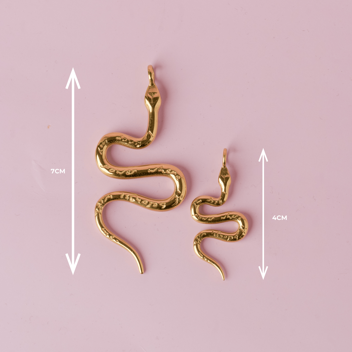 Snake Charm