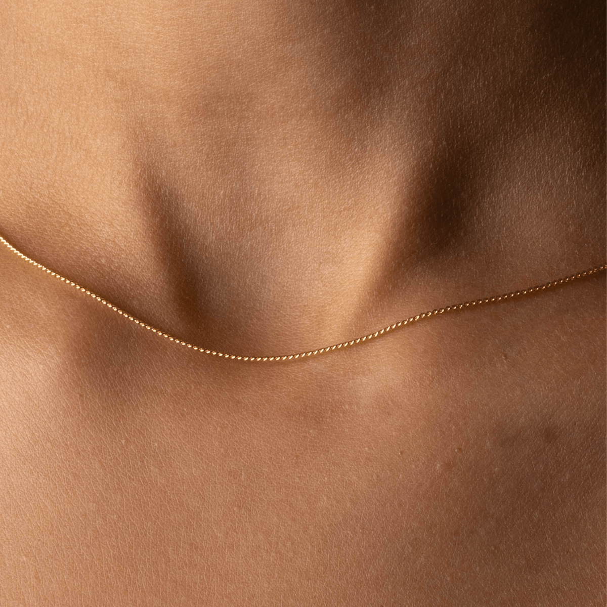 Petite Curb Necklace