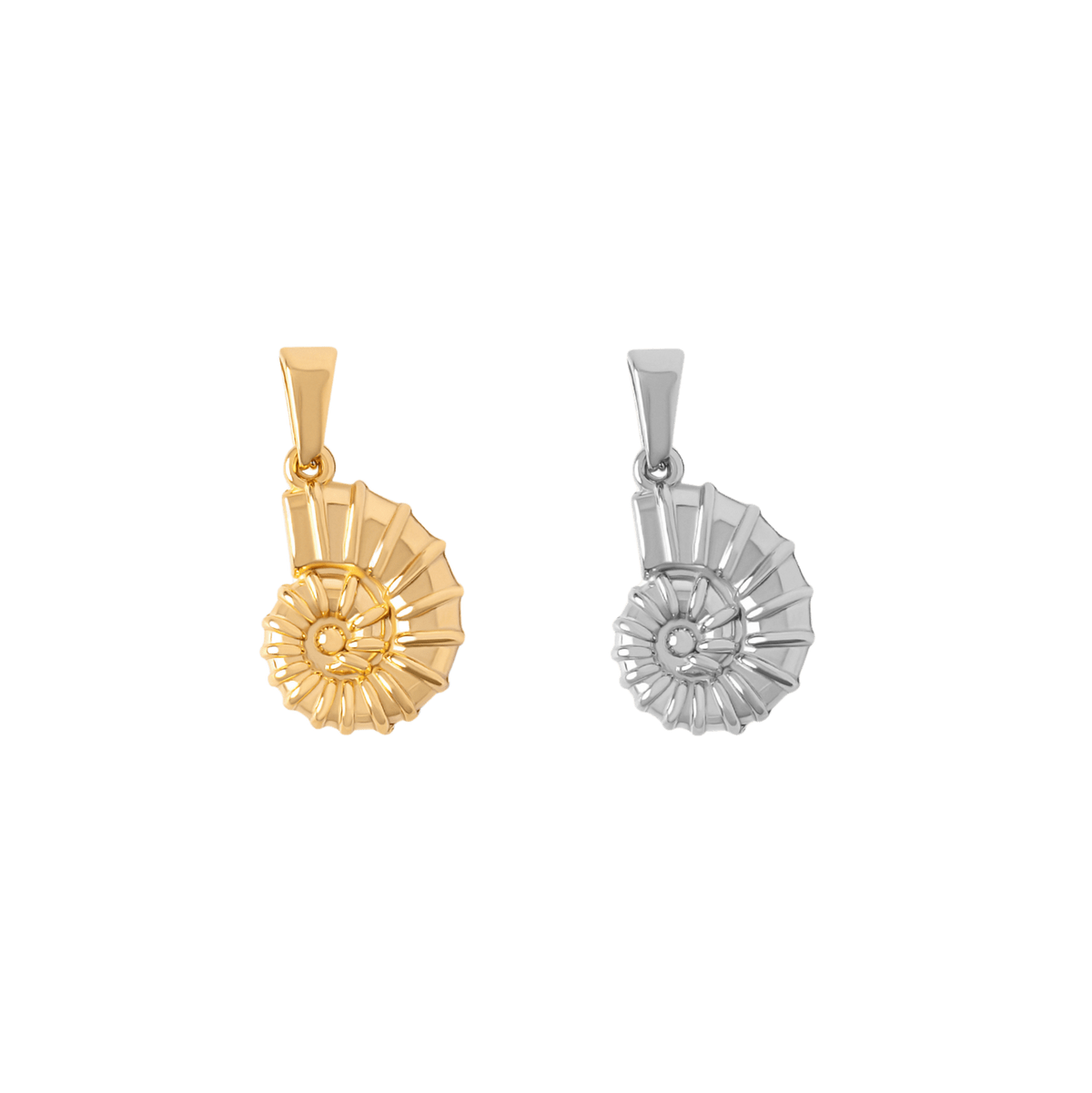 Ammonite Charm