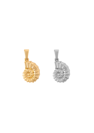 Ammonite Charm