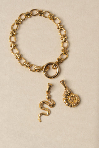 Ammonite Charm