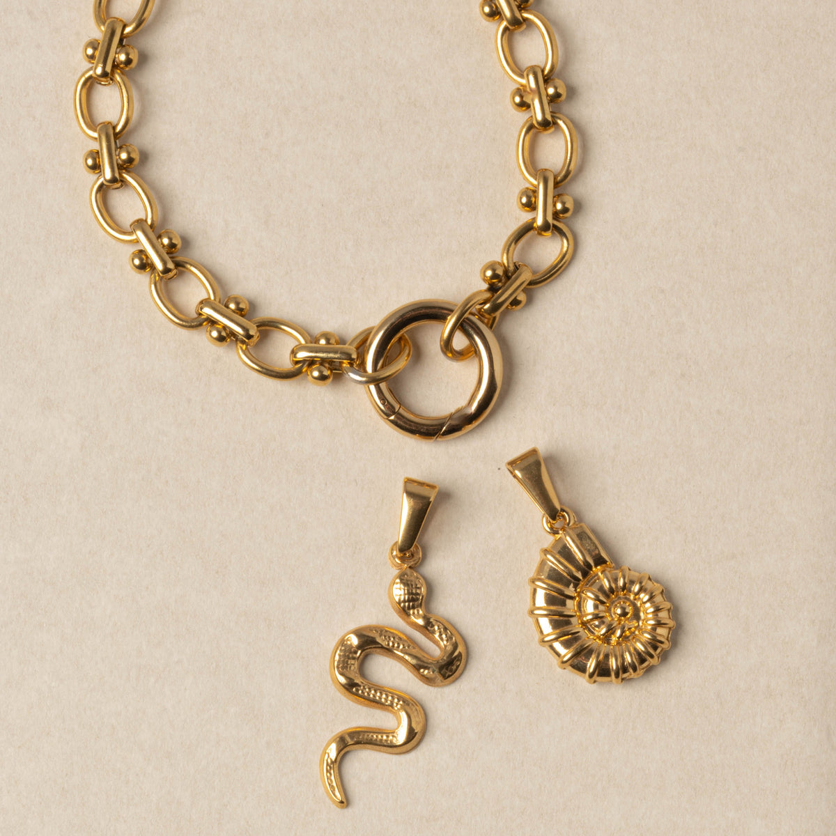 Ammonite Charm