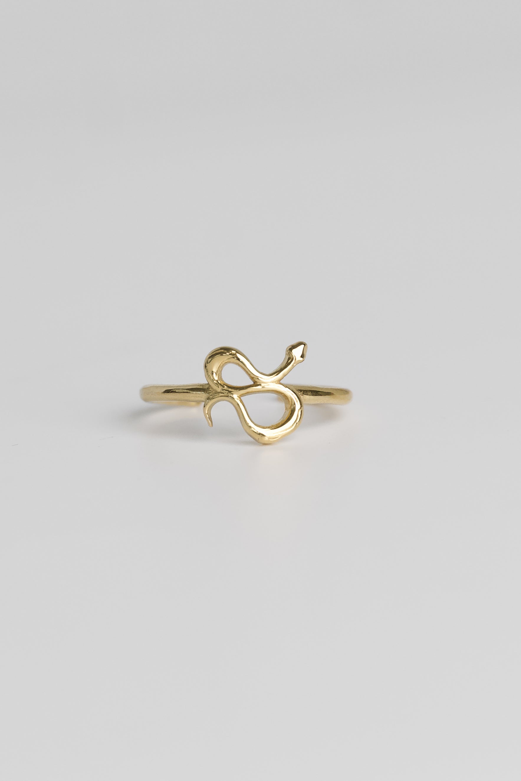 Bastion Snake Toe Ring