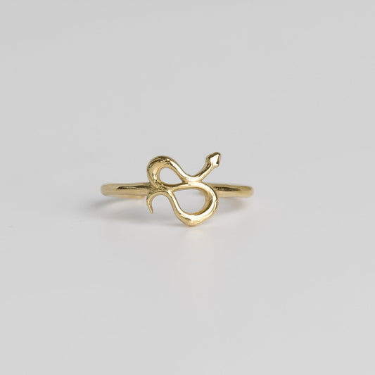 Bastion Snake Toe Ring