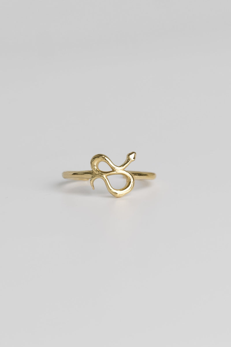 Bastion Snake Toe Ring