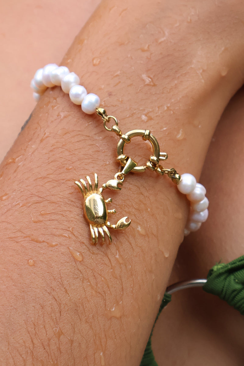 Crab Charm