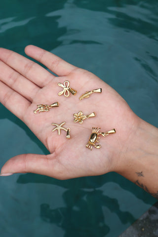 Sardine Charm