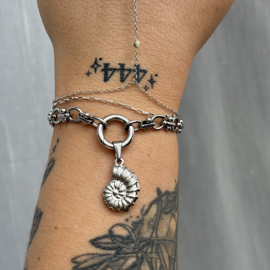 Ammonite Charm
