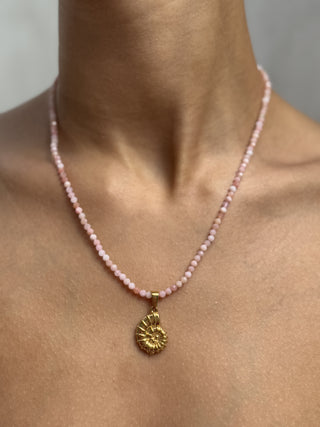 Ammonite Charm