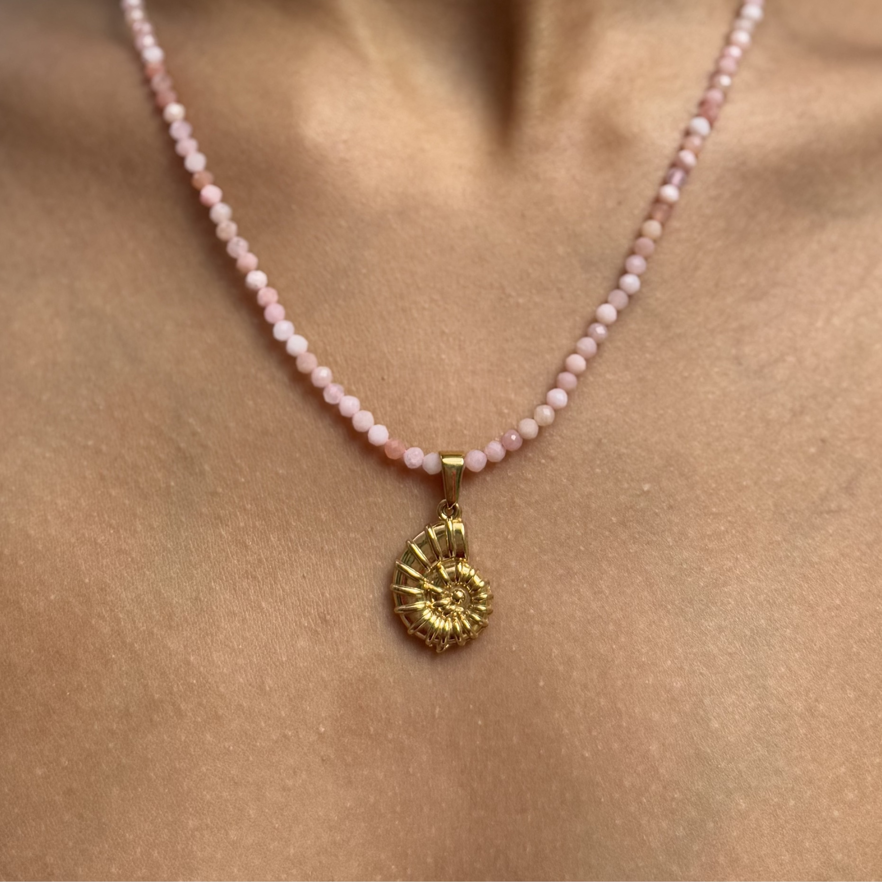 Ammonite Charm