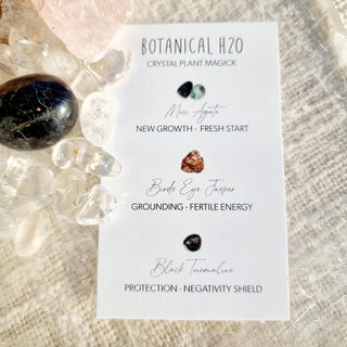 Crystal Plant pack